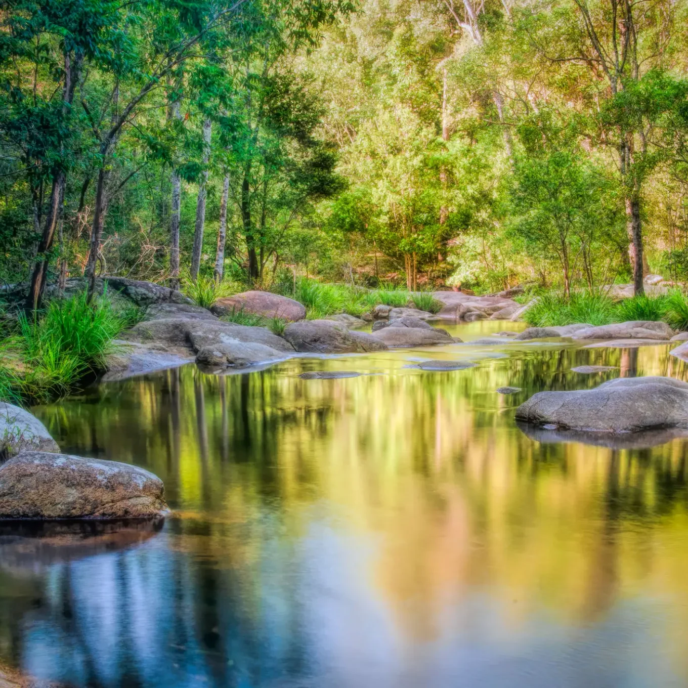 A serene forest stream reflecting green trees and rocks.