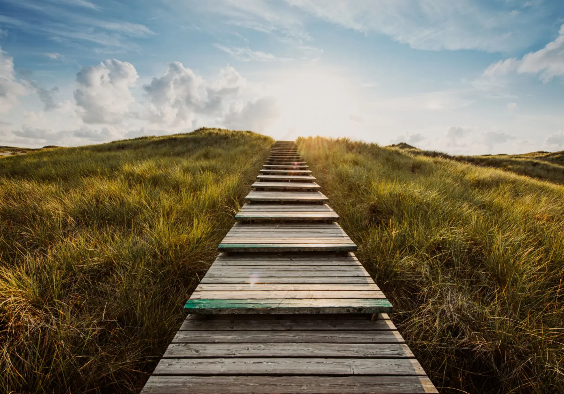 Wooden pathway leading over grassy dunes towards a bright horizon.
